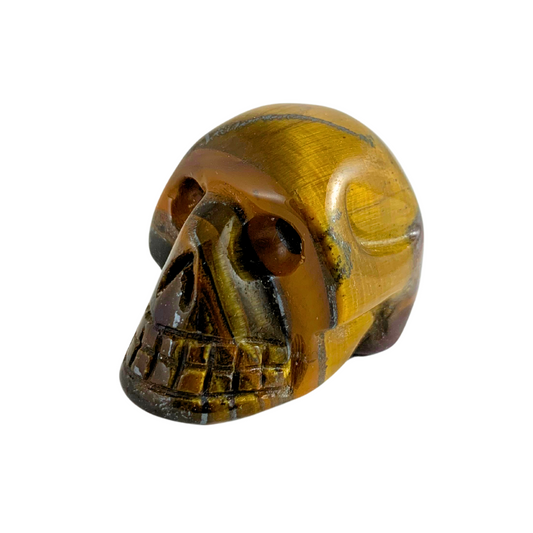 Tiger Eye Skulls