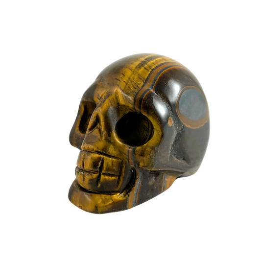 Tiger Iron Skulls