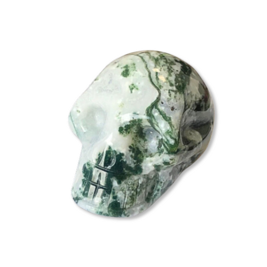 Tree Agate Skulls