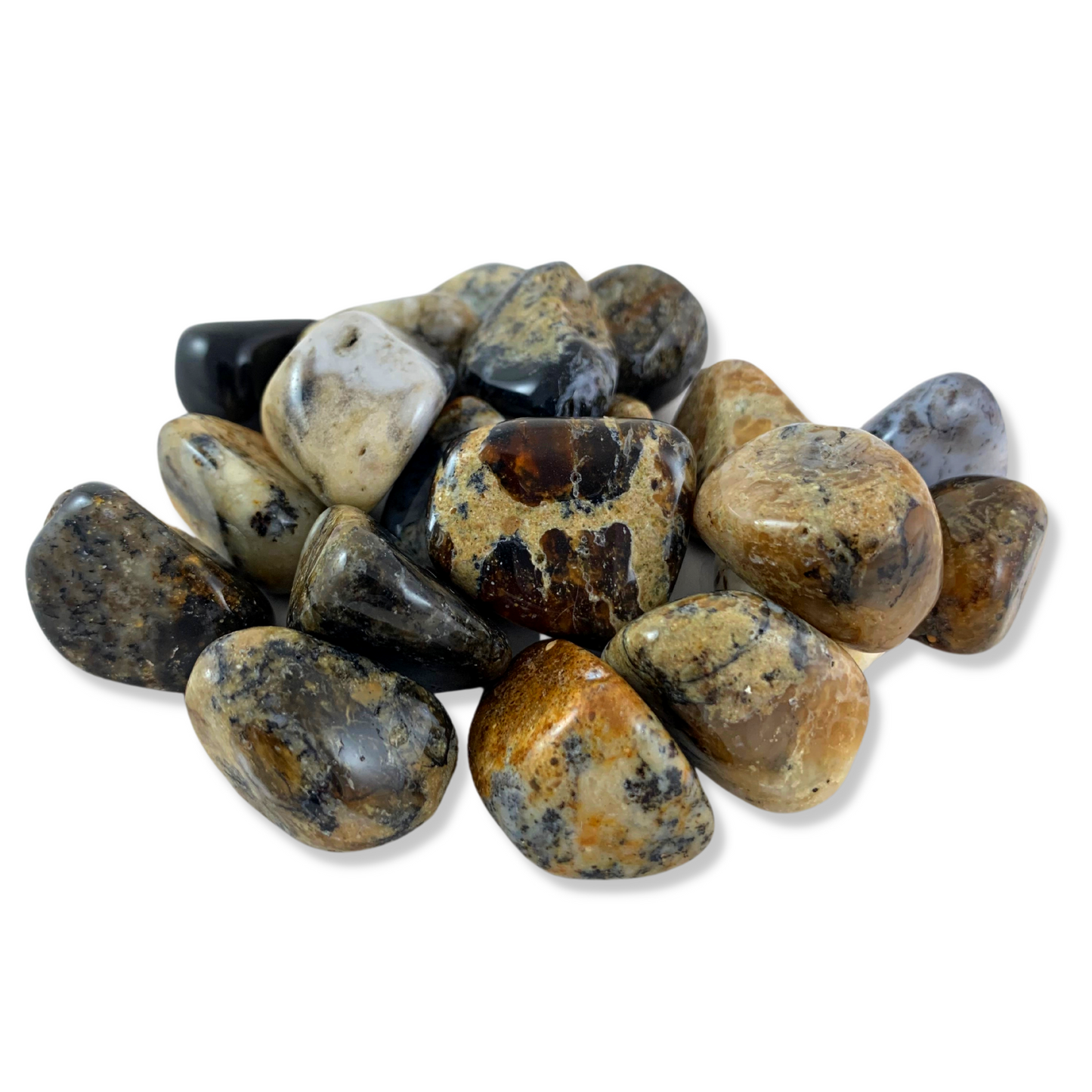 Agate, Dendritic Tumbled Stones