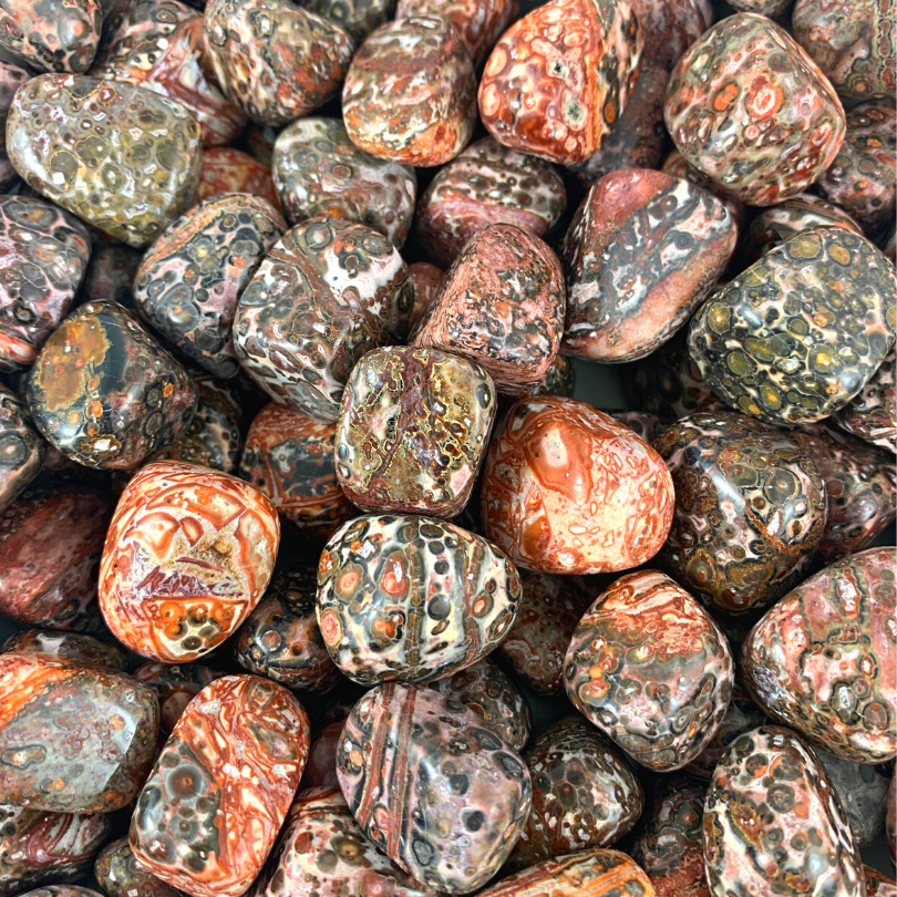 Jasper, Leopardskin Tumbled Stones