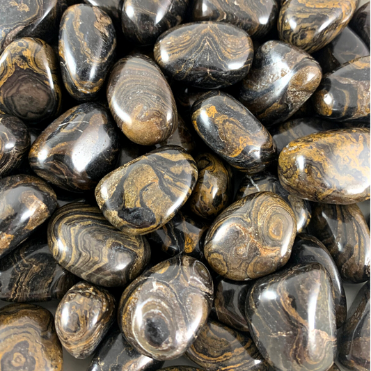 Stromatolite Tumbled Stones