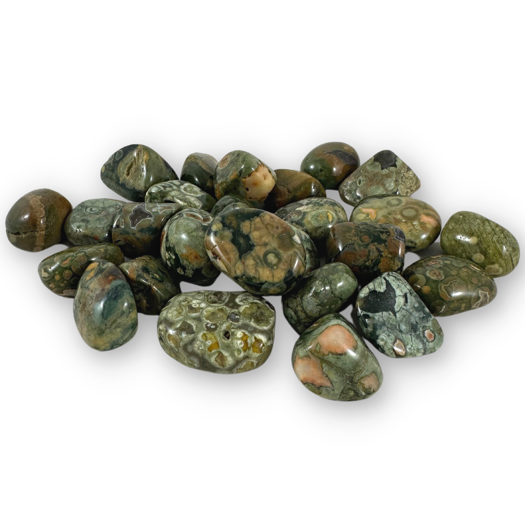 Rainforest Rhyolite Tumbled Stones